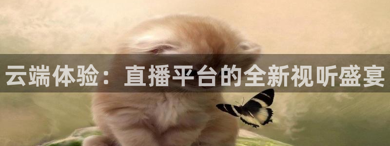 云端体验：直播平台的全新视听盛宴